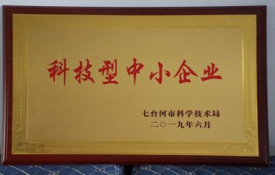 石墨烯公司被七臺河市科學(xué)技術(shù)局授予科技型中小企業(yè)稱號