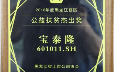 公司獲黑龍江省上市公司公益扶貧杰出獎(jiǎng)