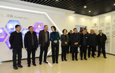 副省長沈瑩到公司視察工作