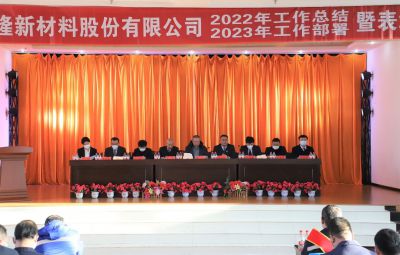 破浪逐新 奮進未來|寶泰隆2022年度總結暨表彰大會隆重舉行