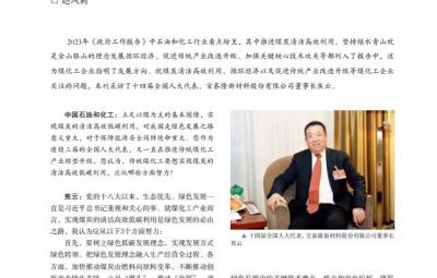 打破傳統(tǒng)走綠色轉(zhuǎn)型之路——訪十四屆全國(guó)人大代表、寶泰隆新材料股份有限公司董事長(zhǎng)焦云